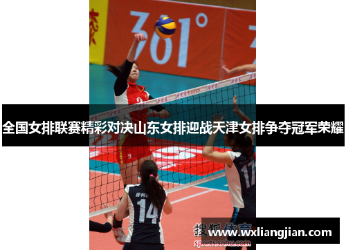 全国女排联赛精彩对决山东女排迎战天津女排争夺冠军荣耀